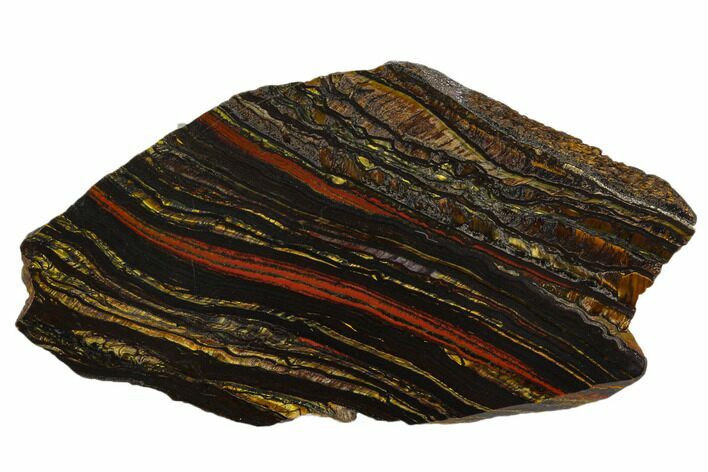 Polished Tiger Iron Stromatolite - Billion Years #129293
